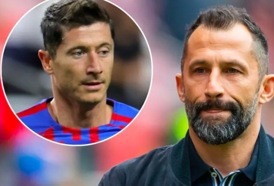 德甲中场 德甲中场