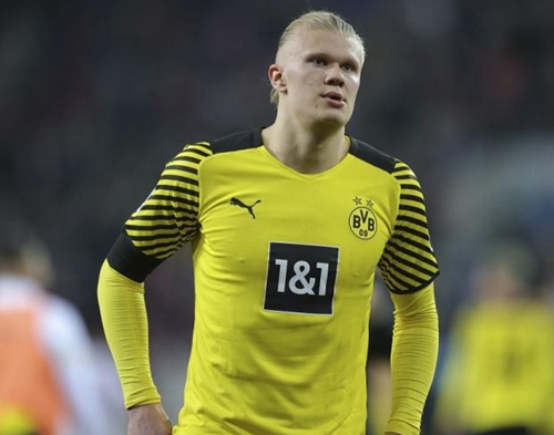 阿狸R闪找 阿狸R闪找