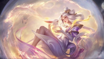 提供经验与